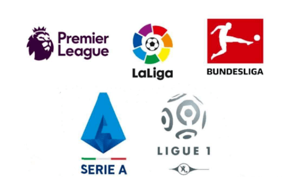 仅提供了 仅提供了